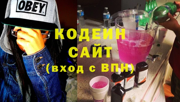 ПСИЛОЦИБИНОВЫЕ ГРИБЫ Вяземский