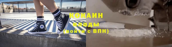 ПСИЛОЦИБИНОВЫЕ ГРИБЫ Вяземский