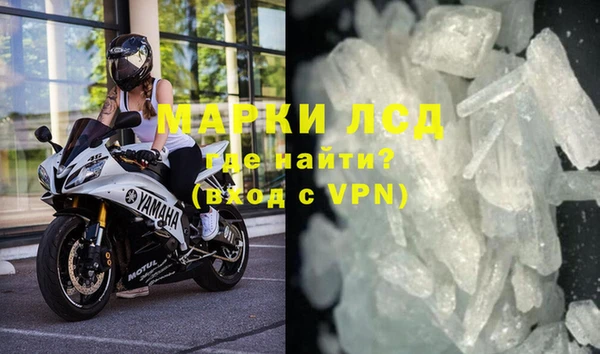 ПСИЛОЦИБИНОВЫЕ ГРИБЫ Вяземский