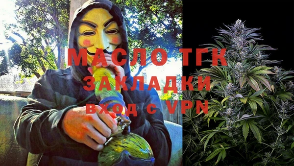 ПСИЛОЦИБИНОВЫЕ ГРИБЫ Вяземский