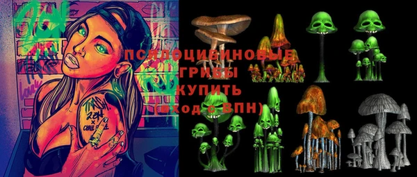 СК Волоколамск
