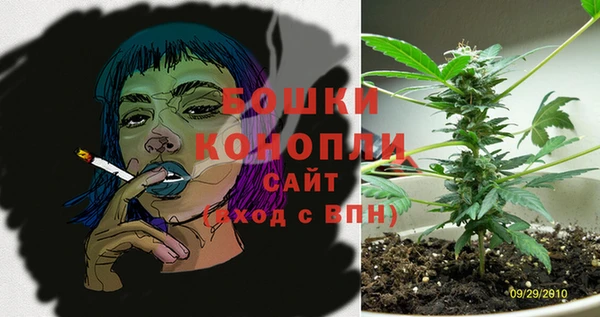 ПСИЛОЦИБИНОВЫЕ ГРИБЫ Вяземский