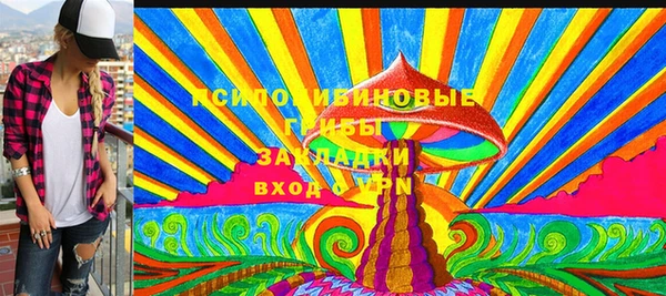 твердый Вязники