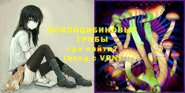 твердый Вязники