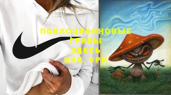 ПСИЛОЦИБИНОВЫЕ ГРИБЫ Вяземский