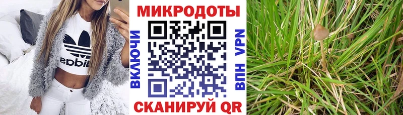 гидра как войти  Назрань  Псилоцибиновые грибы Psilocybine cubensis 